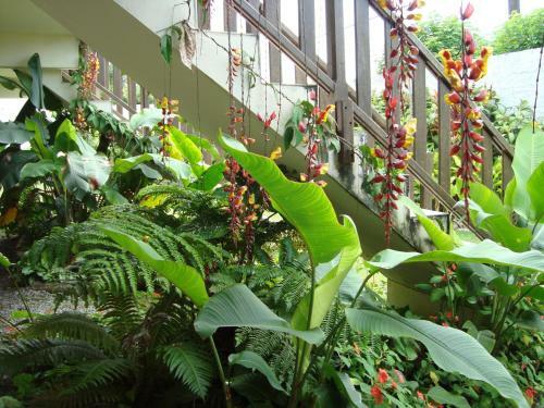 Hostal Chal�s Ancoradouro