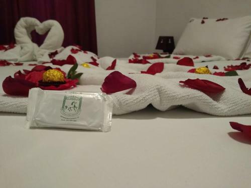 Hostal Hotel Cavalinho Branco