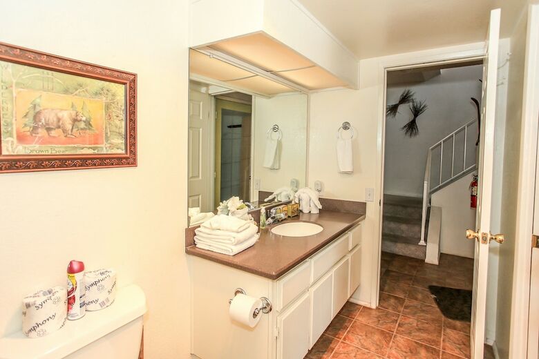 Brown Bear's Den Condo