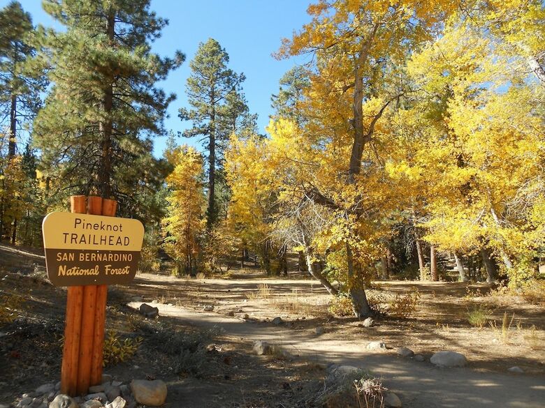 Blue Jay Cabin