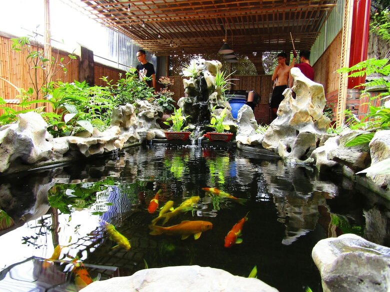 Hotel Ninh Binh Mountain Side Homestay & Cafe