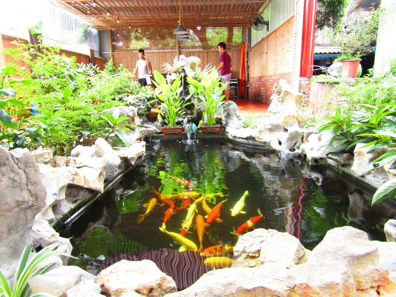 Hotel Ninh Binh Mountain Side Homestay & Cafe