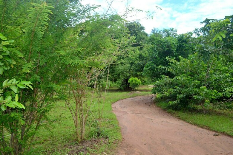 Apartamento Wilpattu Dilsara Holiday Resort