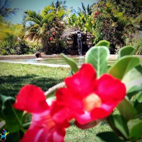 Bed & Breakfast Castelo Vend�m