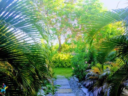 Bed & Breakfast Castelo Vend�m
