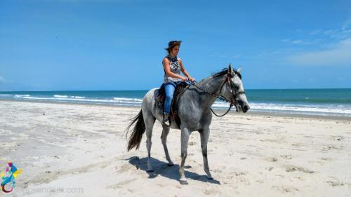 Bed & Breakfast Castelo Vend�m