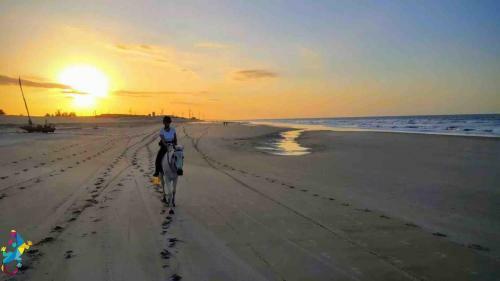 Bed & Breakfast Castelo Vend�m