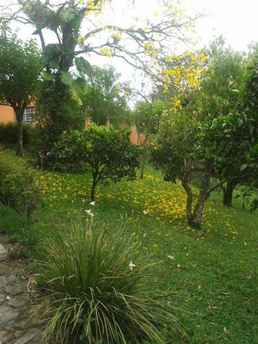 Hostal Pousada Recanto �guas Vivas