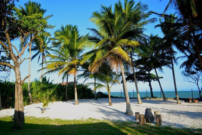 Hotel Alma Tropical Resort