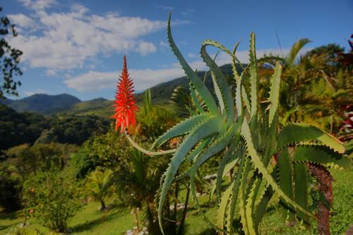 Hostal Pousada Cora��o Verde