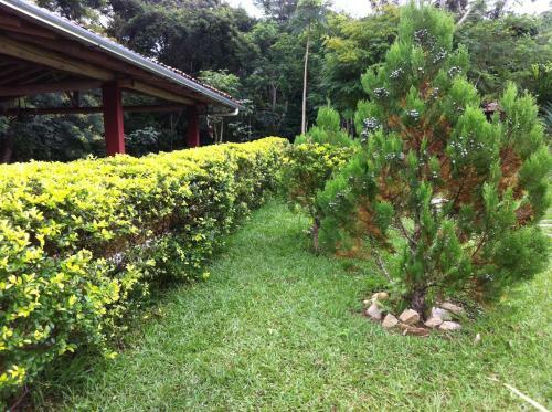 Tabuleiro Eco Hostel