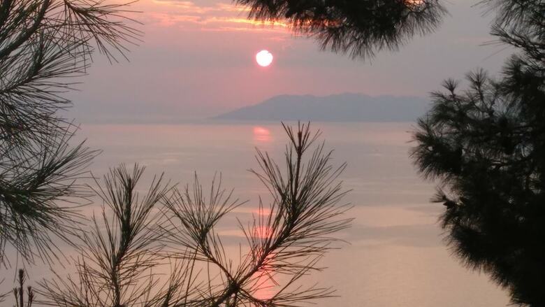Bed & Breakfast Faralya Limon Hotel
