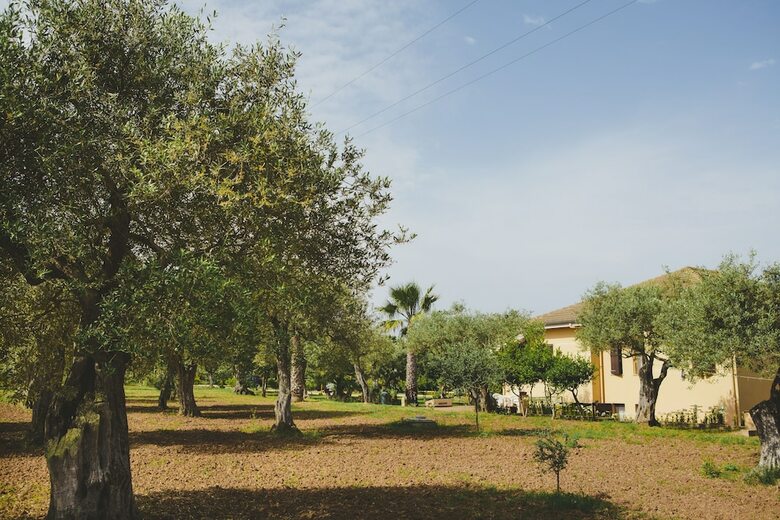 B&B Villa Grazia