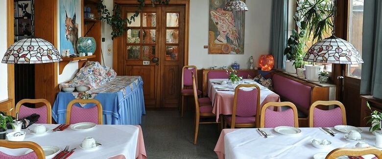 Hotel Gr�ner Baum