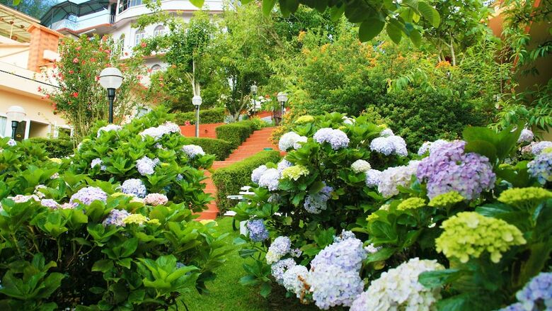 Apartamento Kodai Resort Hotel