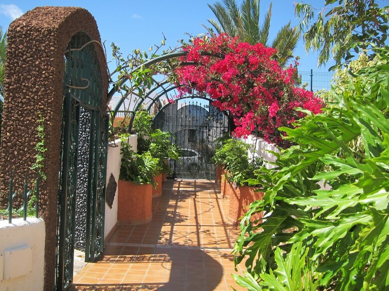 Apartamentos Mi Casa Es Tu Casa En Tenerife