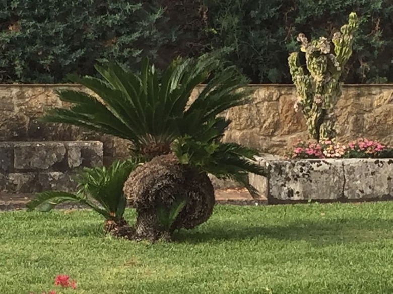 Villa Maremonti