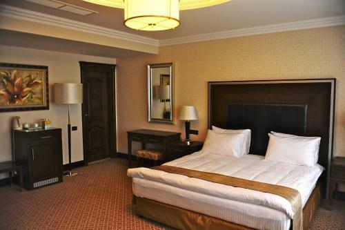 Chinar Hotel & Spa
