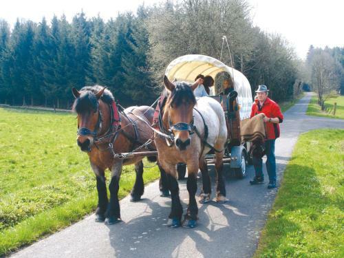 Hostal Landgasthof Lang Zum Adler