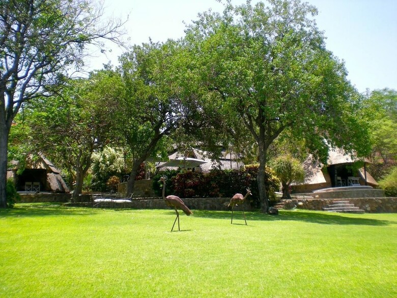 Posada Hornbill Lodge