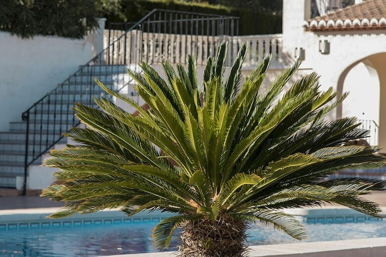 Bed & Breakfast La Maravilla