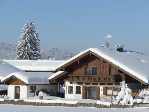 Blissful Apartment In Altenau With Patio