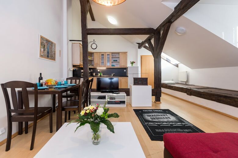 Spacious Apartments In Heart Of Prague