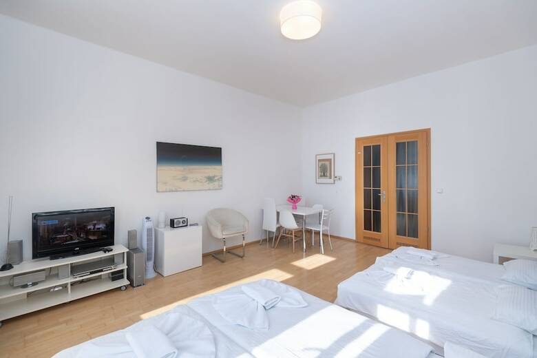 Spacious Apartments In Heart Of Prague