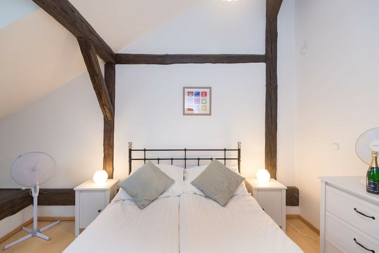 Spacious Apartments In Heart Of Prague