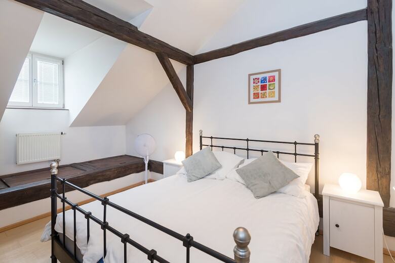 Spacious Apartments In Heart Of Prague