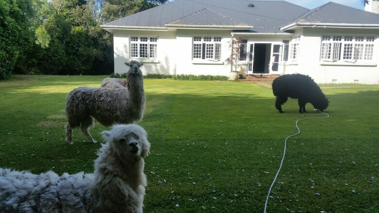 The Homestead B&B