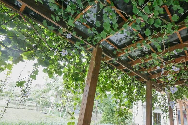 Bed & Breakfast Justlike Villa Homestay