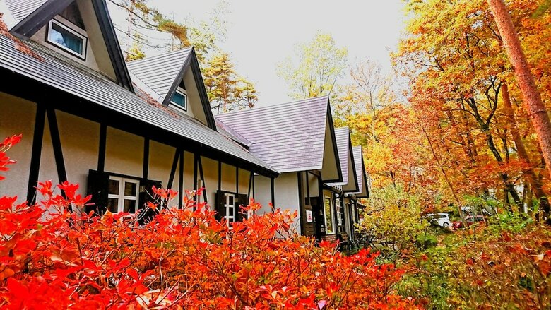 Pension Maple Leaf