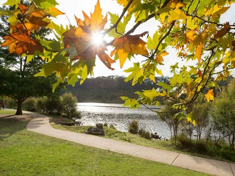Leura Rose Cottage
