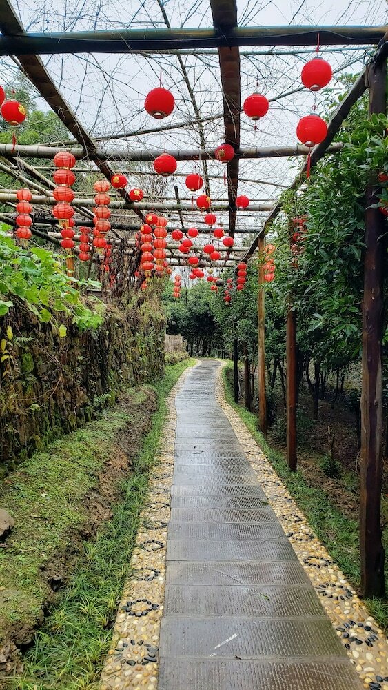 Posada Glass House