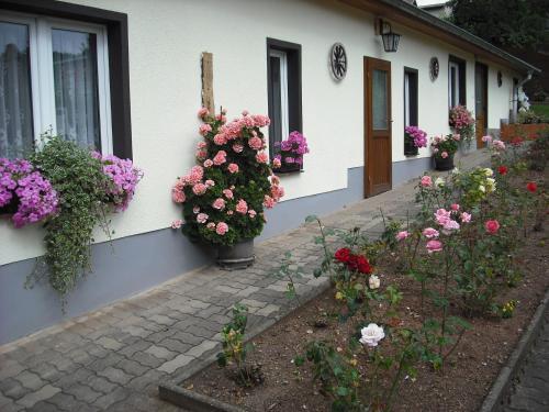 Hostal Pension M�hring