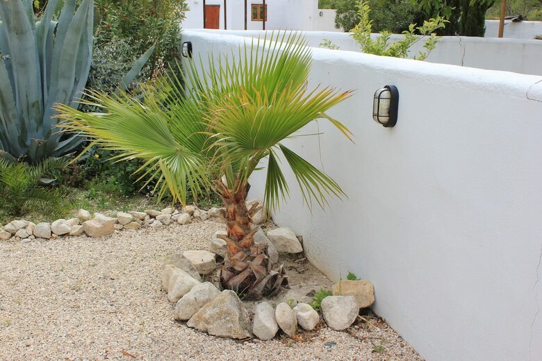 Luxe Bed And Breakfast Casa Paco