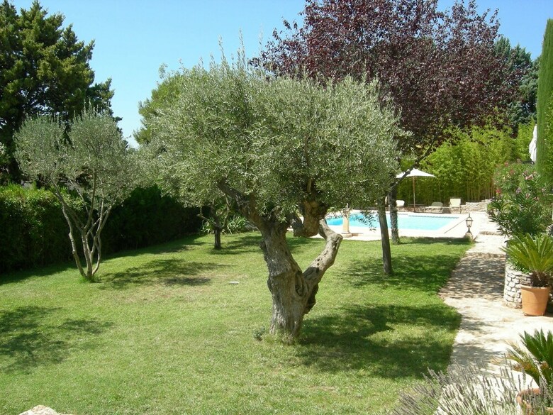Apartamento Les Cigales