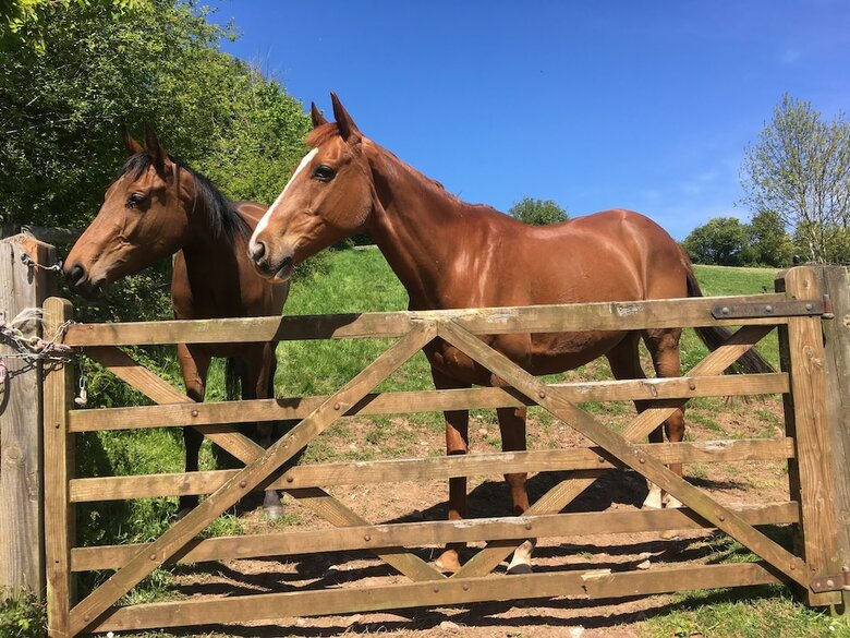 Pardlestone Farm: B&B