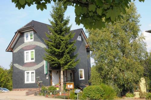 Hostal Aktiv Pension