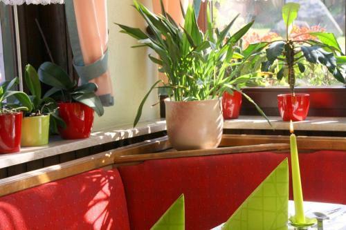 Hotel Brockenst�bchen