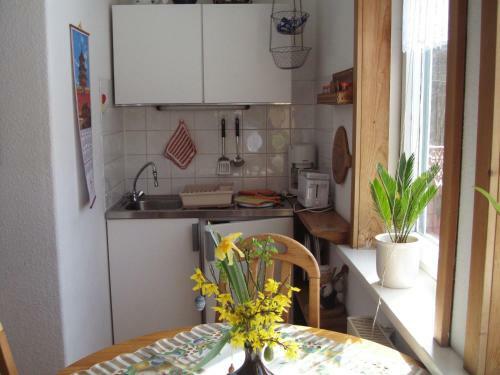 Apartamento Villa Regina