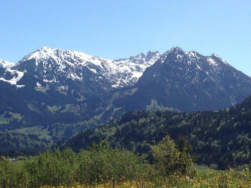 Hostal Gasthof Pension Riedbergerhorn