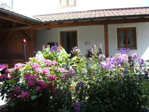 Apartamento Appartementhaus Elisabeth Winklhofer