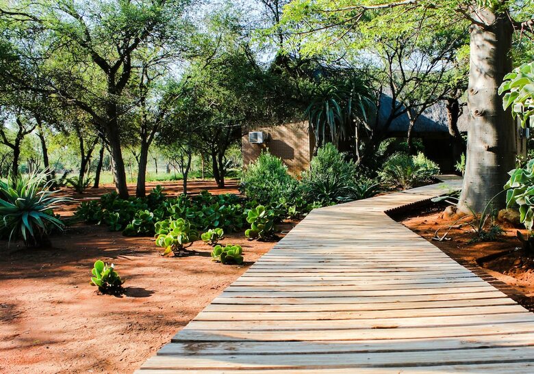 Posada Zingela Nature Reserve - Leadwood Lodge