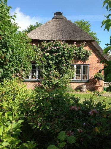 Apartamento Das Reetdachhaus - Paulines H�ft