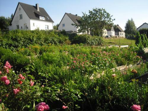 Agroturismo Willekes Bl�tenhof
