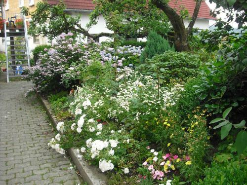 Agroturismo Willekes Bl�tenhof
