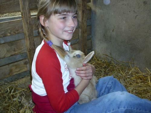 Agroturismo Willekes Bl�tenhof