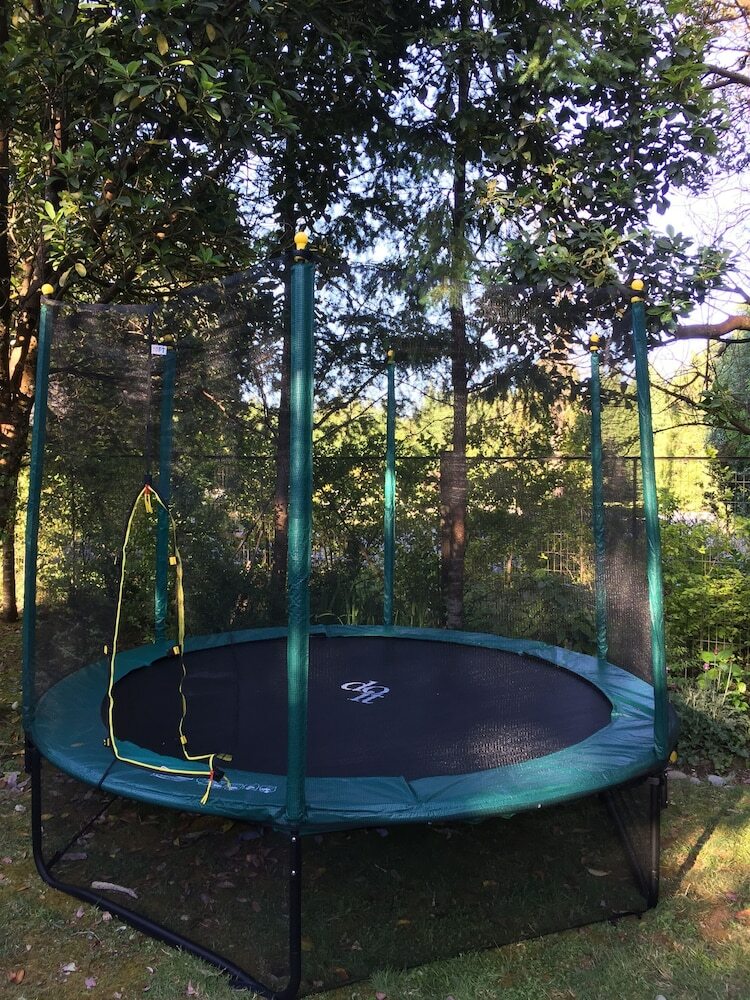 Dreamwoods